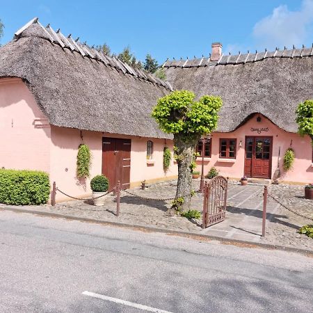 Liebhaveri I Saerklasse Årup Esterno foto