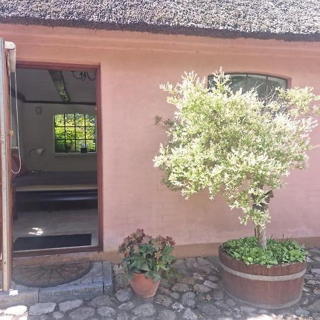 Liebhaveri I Saerklasse Årup Esterno foto