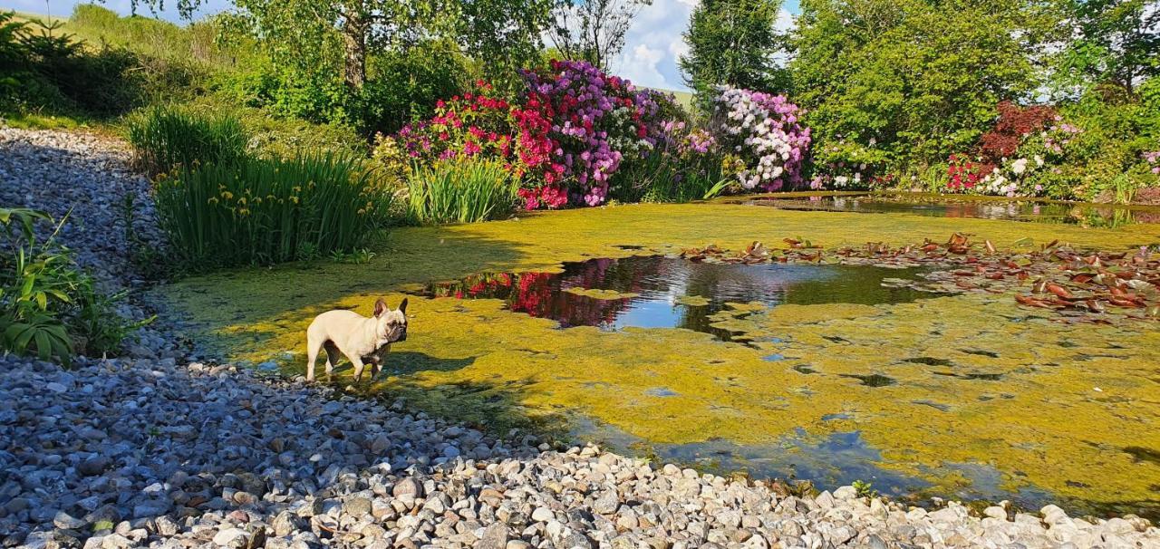 Liebhaveri I Saerklasse Årup Esterno foto