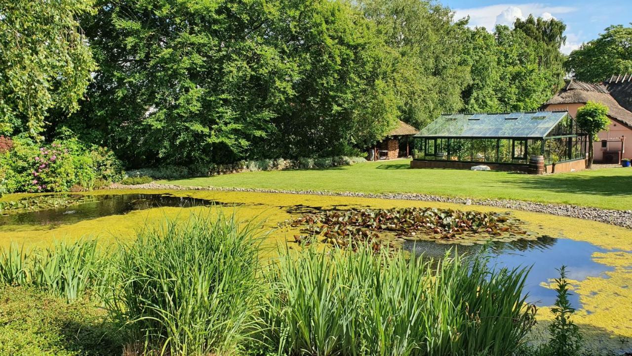 Liebhaveri I Saerklasse Årup Esterno foto
