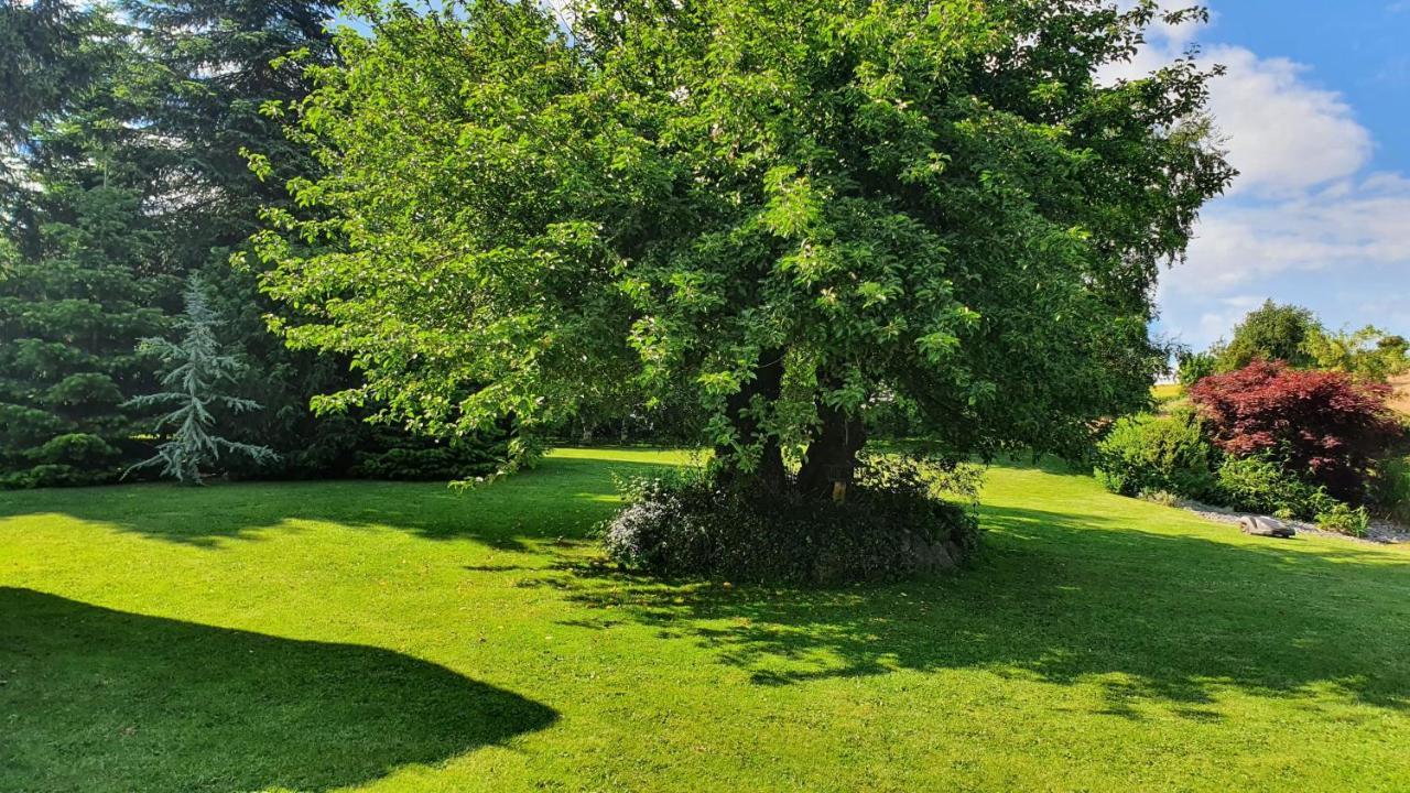 Liebhaveri I Saerklasse Årup Esterno foto