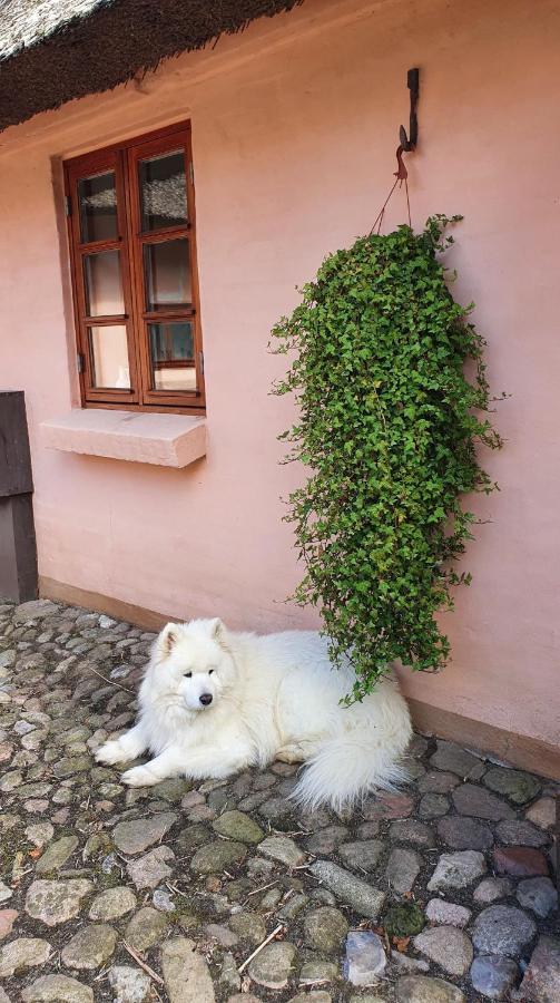 Liebhaveri I Saerklasse Årup Esterno foto